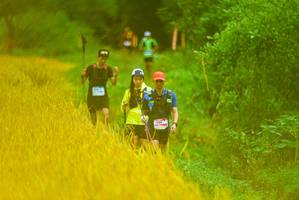 BIB: 
                            <button type="button" onclick="openModal(13455497)" class="btn btn-primary btn-sm float-right btn-popup" data-toggle="modal" data-target=".modal-high-quality">
                        <i class="fas fa-shopping-cart"></i> Add to Cart
                    </button>
                                            <button type="button" onclick="isThisMe(13455497, true)" class="btn btn-success btn-sm float-right btn-popup btn-isme hidden" data-toggle="tooltip" data-placement="bottom" title="นี่คือรูปของคุณใช่ไหม คลิกที่นี่เพื่อเอาเข้าอัลบั้ม">
                        <i class="fas fa-plus"></i> Add to album
                    </button>
                    <button type="button" onclick="isThisMe(13455497, false)" class="btn btn-warning btn-sm float-right btn-popup btn-isnotme hidden">
                        <i class="fas fa-ban"></i> Remove from album
                    </button>